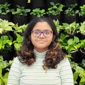 Amavi Handapangoda